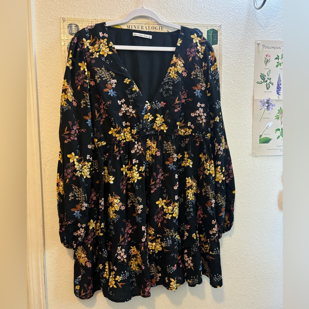 Abercrombie and Fitch Floral Ruffle Dress